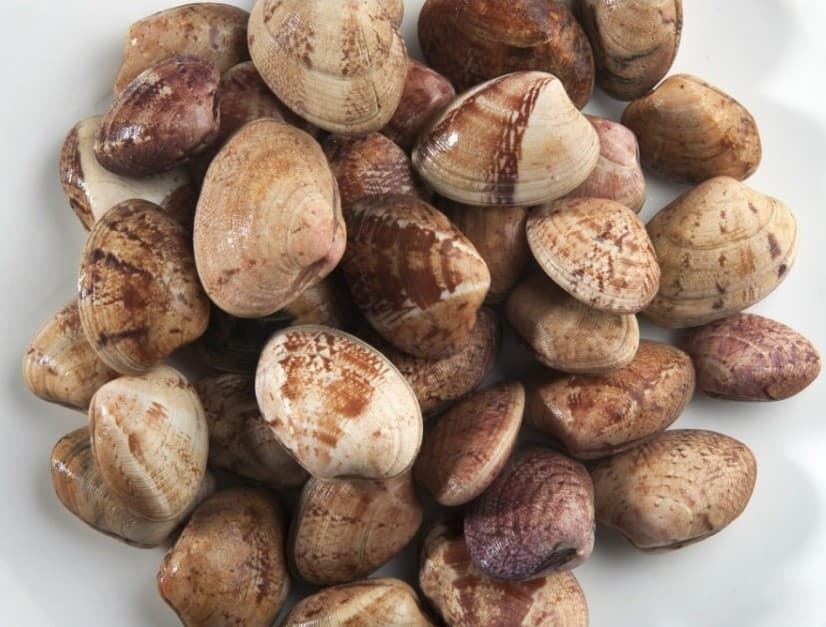 Almeja rubia gallega - Imagen 1