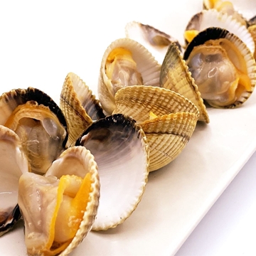 Berberecho gallego - Imagen 1