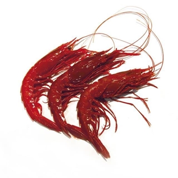 Carabinero - Imagen 1