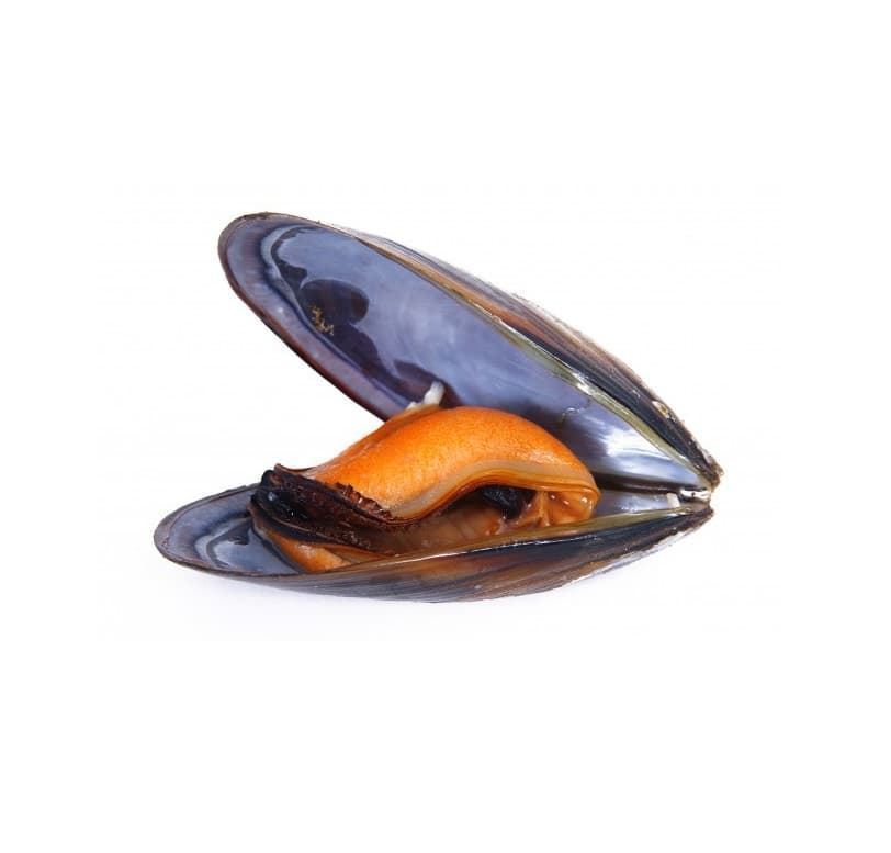 Mejillón fresco (2KG) - Imagen 1