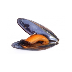 Mejillón fresco (2KG) - Imagen 1