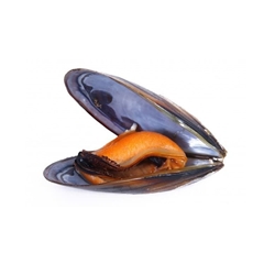 Mejillón fresco - Imagen 1