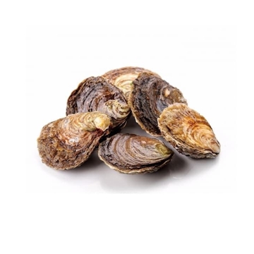 Ostra plana - Imagen 1