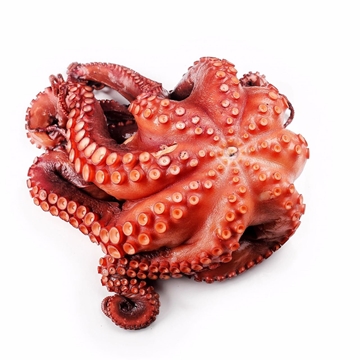 Pulpito cocido - Imagen 1