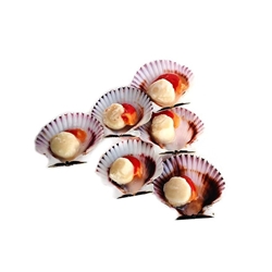 Zamburiñas - Imagen 1